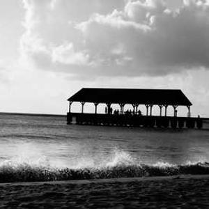 miami900: ทดลองเล่นยิงปลาฟรีทุกค่าย